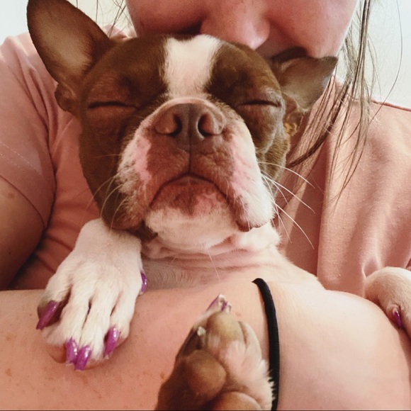 Meet The Posher - Picture 8 of 9